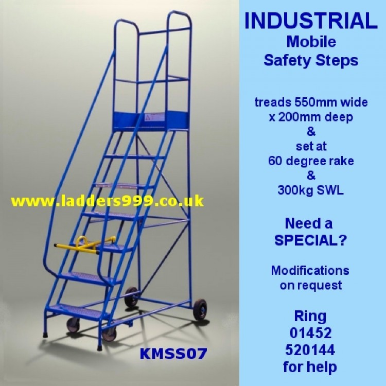 Industrial Warehouse Ladders - 300Kg Capacity - Ladder Warehouse