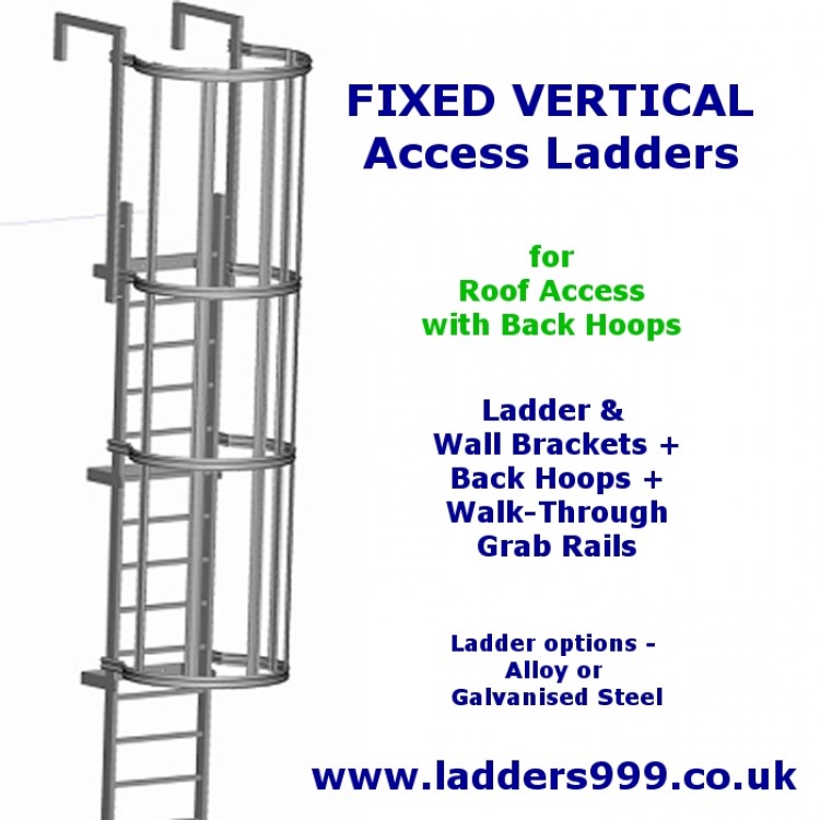 Vertical Fixed Ladders Ladder With Hoops For Roof Hatch Access By