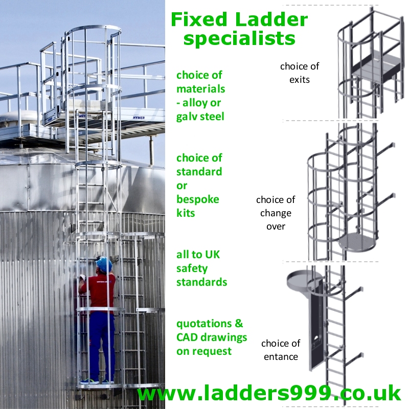 Fixed Vertical Access Ladders